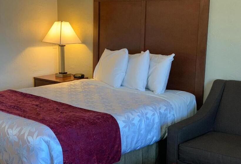 اتاق استاندارد, Red Carpet Inn Medford