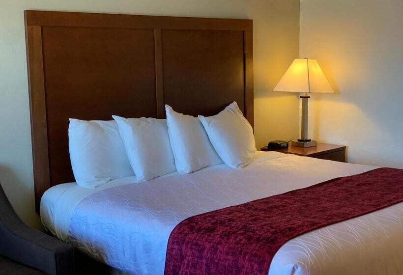 اتاق استاندارد با تخت بزرگ, Red Carpet Inn Medford