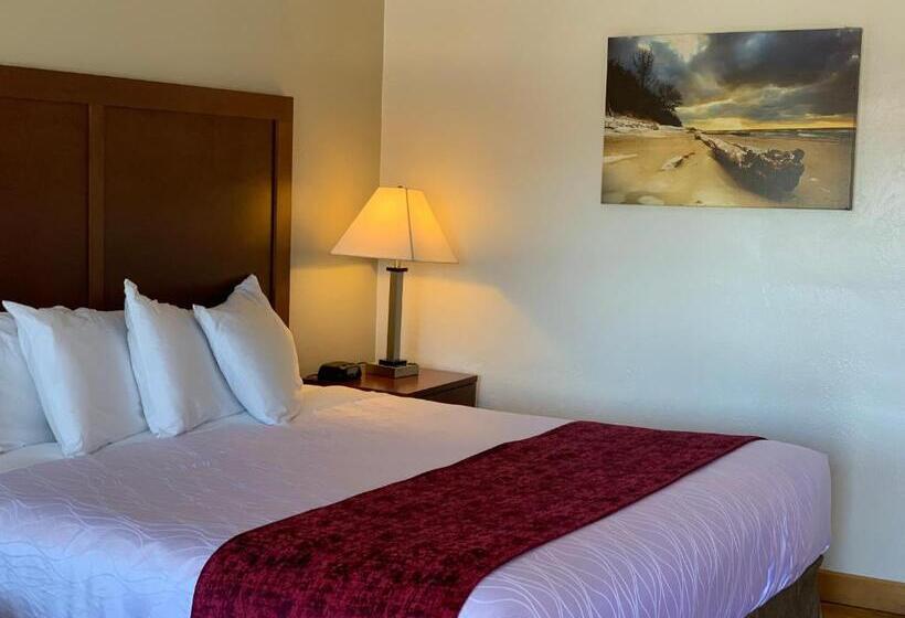 اتاق استاندارد با تخت بزرگ, Red Carpet Inn Medford