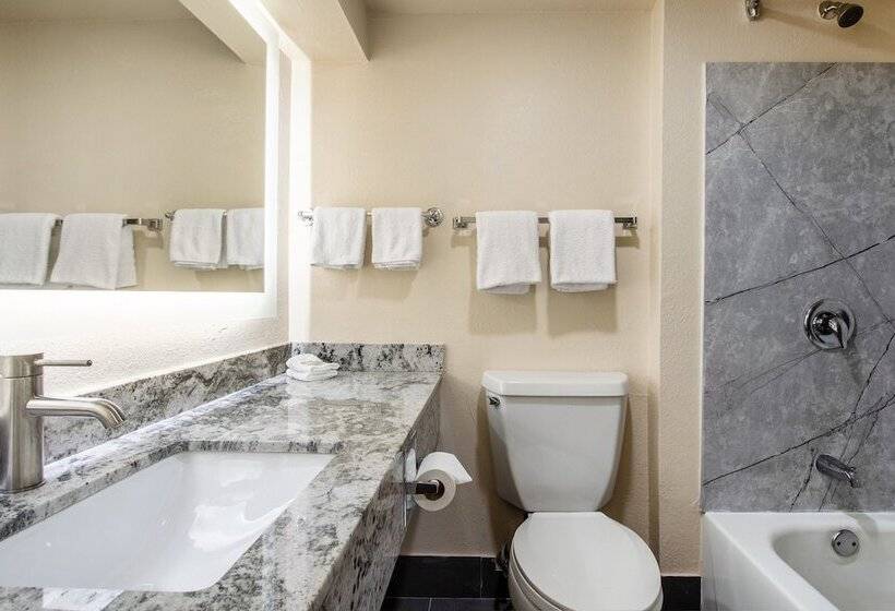 장애인을 위한 수피리어 룸, Red Roof Inn El Paso West