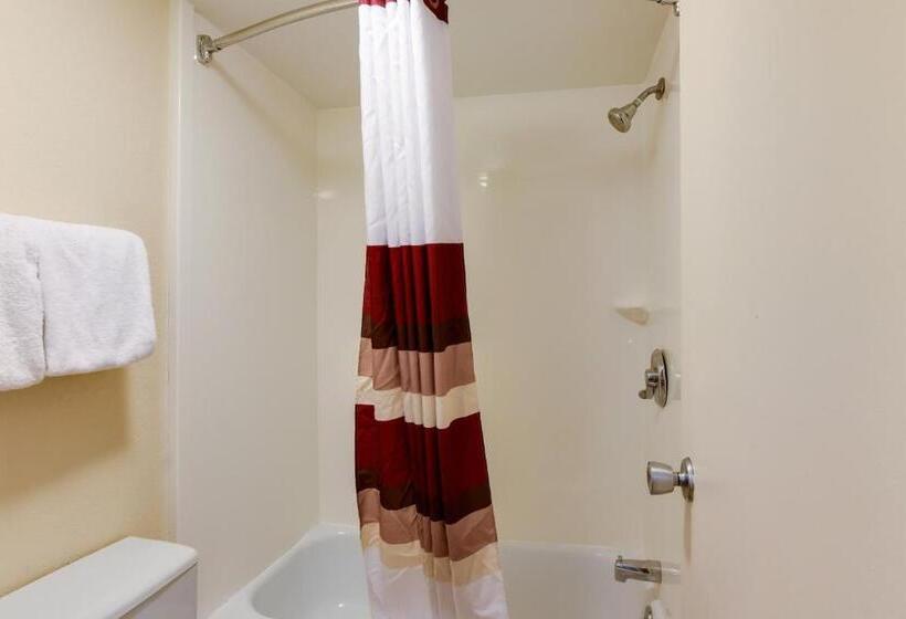 디럭스 룸, Red Roof Inn Grand Rapids Airport
