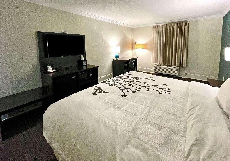 Стандартный Номер Кровать Кинг, Sleep Inn & Suites Niceville   Destin