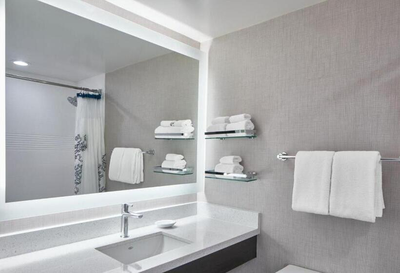 Люкс Кровать Кинг, Residence Inn By Marriott Rochester West Greece