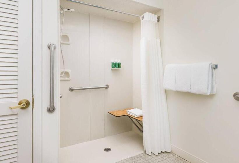 Студио Стандарт Кровать Кинг, Residence Inn Hartford Windsor