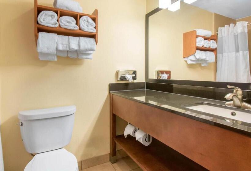 Номер Стандарт, Clarion Hotel & Suites University Shippensburg