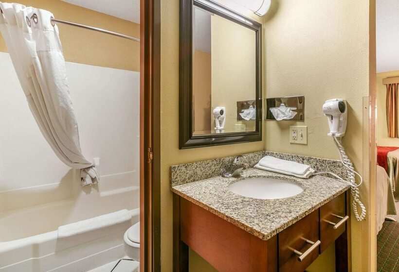 스탠다드 룸 더블 침대 2개, Rodeway Inn Rapid City
