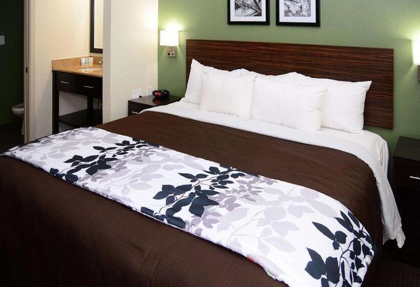 스탠다드 룸 킹사이즈 침대, Sleep Inn Horn Lakesouthaven