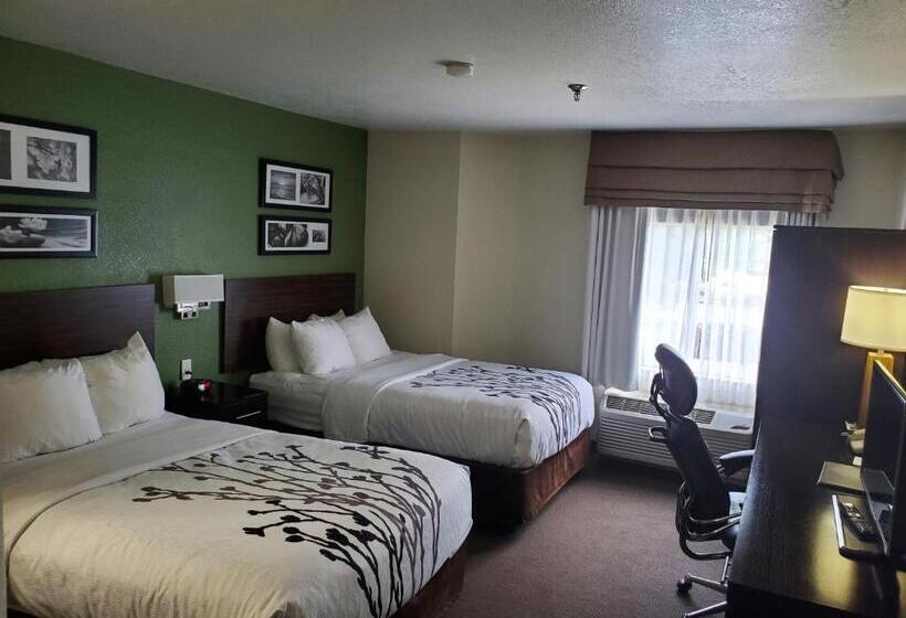 디럭스 룸, Sleep Inn Horn Lakesouthaven