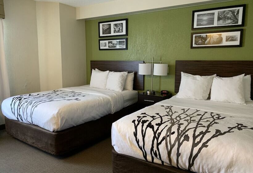 اتاق استاندارد با 2 تخت دوبل, Sleep Inn Louisville Airport & Expo