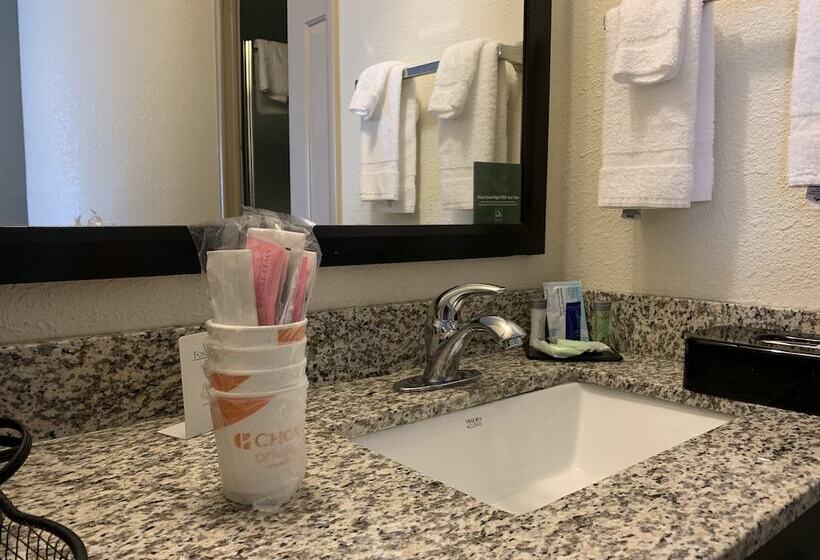 اتاق استاندارد با 2 تخت دوبل, Sleep Inn Louisville Airport & Expo