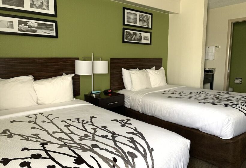 اتاق استاندارد با 2 تخت دوبل, Sleep Inn Louisville Airport & Expo