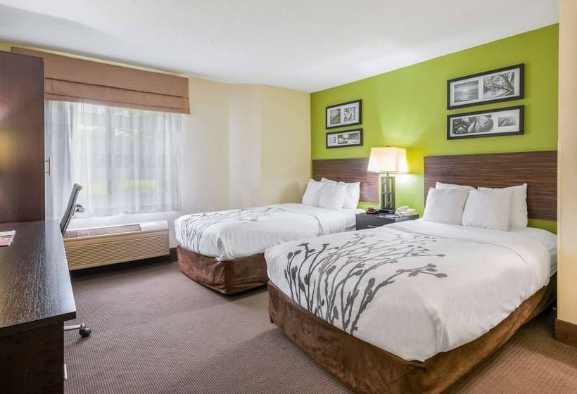 Номер Стандарт 2 Двуспальные Кровати, Sleep Inn Statesville I 40