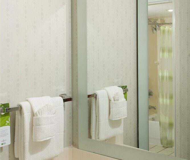 Люкс, Springhill Suites By Marriott Orlando Convention Center