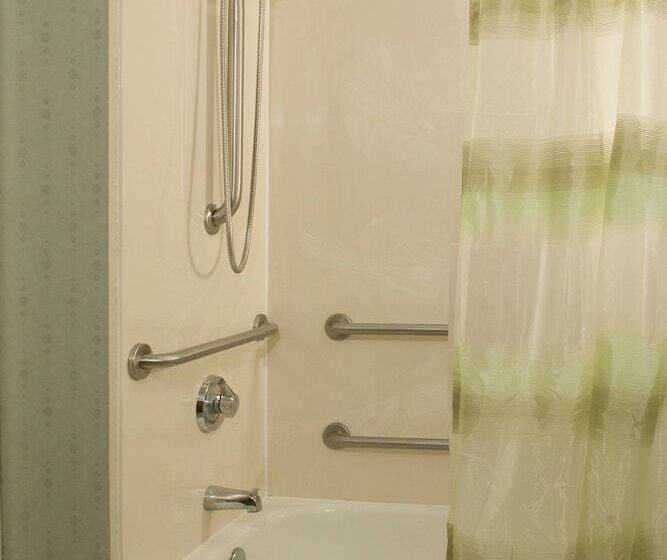 Люкс, Springhill Suites By Marriott Orlando Convention Center