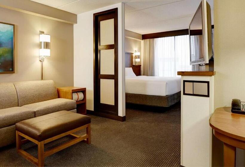 Habitació Estàndard Llit King Adaptada per a persones amb mobilitat reduïda, Hyatt Place San Antonio Riverwalk