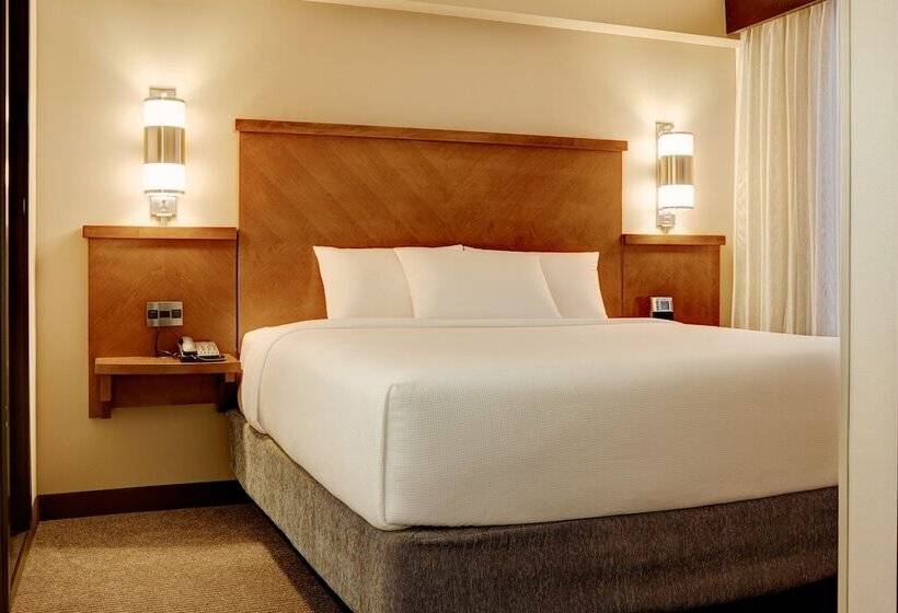 Habitació Estàndard Adaptada per a Discapacitats, Hyatt Place San Antonio Riverwalk