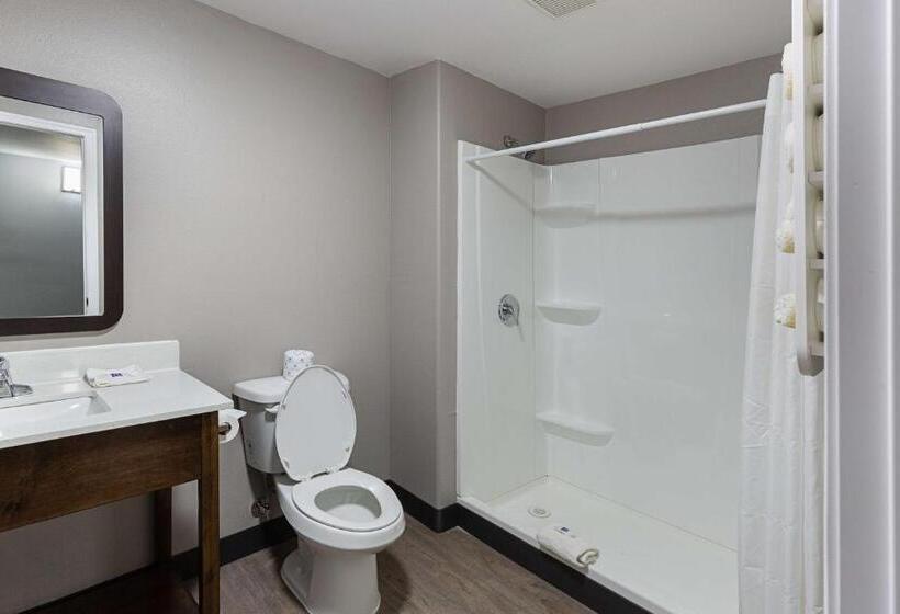 豪华房间, Motel 6show Low, Az