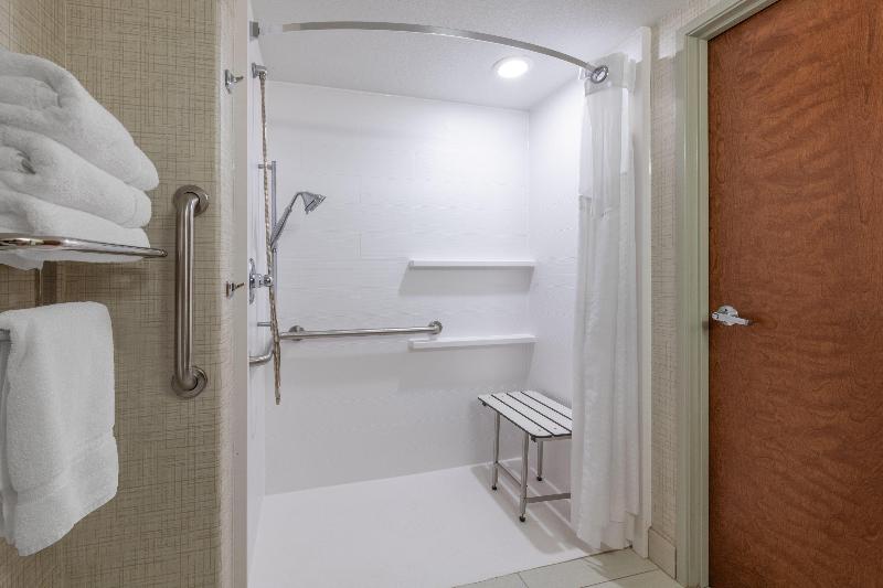 스탠다드 룸 킹사이즈 침대, Holiday Inn Express & Suites Wheat Ridge Denver West, An Ihg