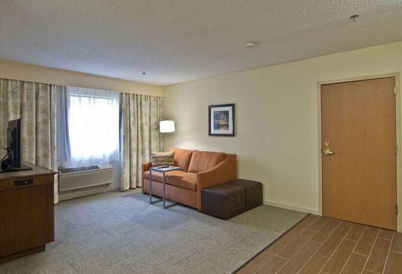 سوئیت با تخت بزرگ, Hampton By Hilton David