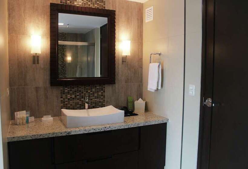 سوئیت با تخت بزرگ, Hampton By Hilton David