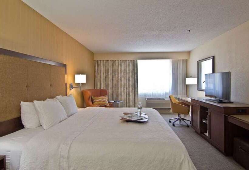 سوئیت با تخت بزرگ, Hampton By Hilton David