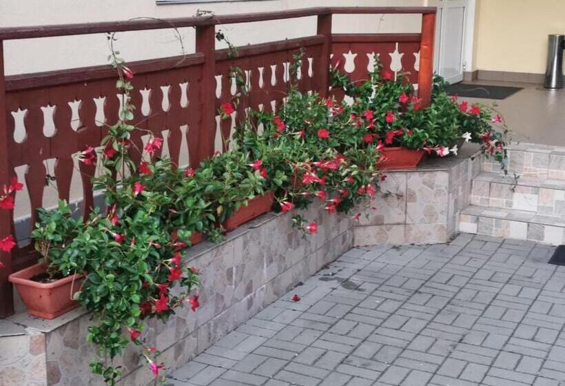 Номер Стандарт, Pensiunea Maria Köber