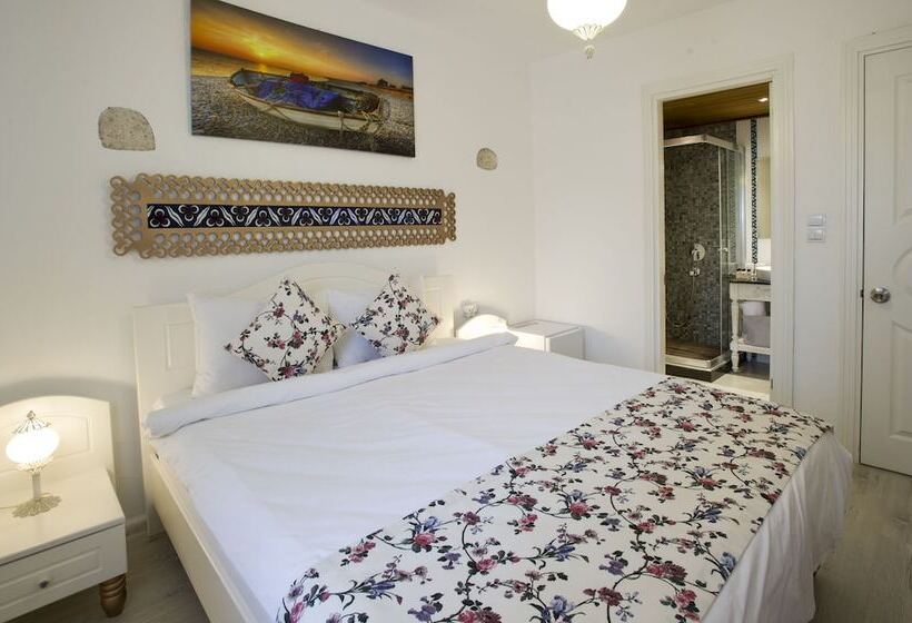 اتاق استاندارد با تخت دوبل, Lodos Butik Otel