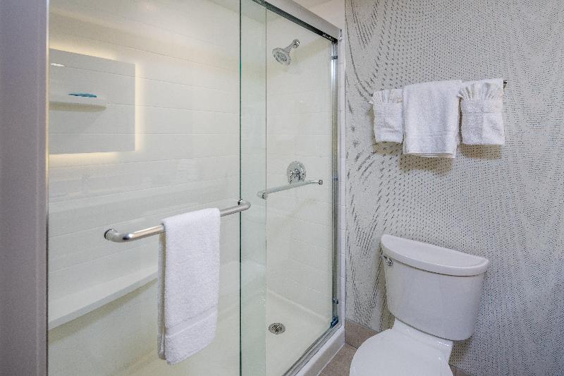 스탠다드 룸 킹사이즈 침대, Holiday Inn Express   Sunnyvale   Silicon Valley, An Ihg