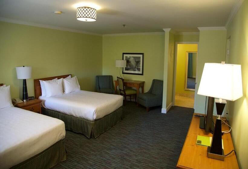 Quarto Deluxe, The University Inn At Emory