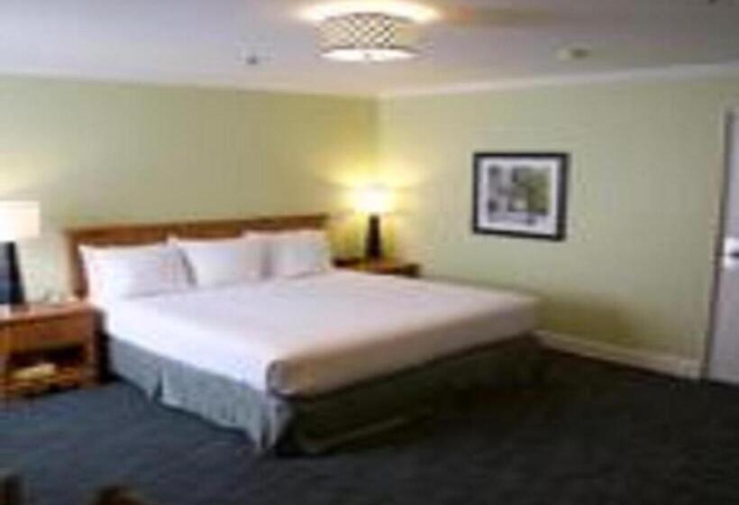 Quarto Deluxe Cama King, The University Inn At Emory