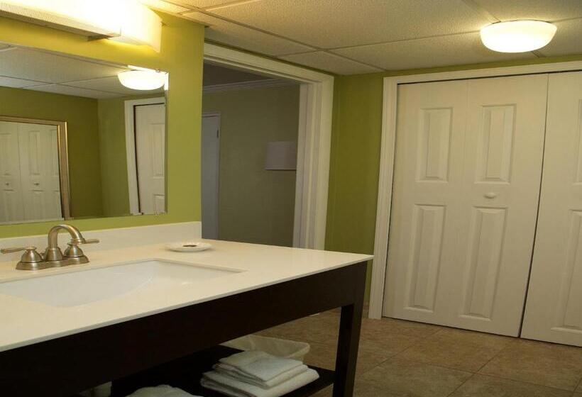 Quarto Quádruplo Deluxe, The University Inn At Emory