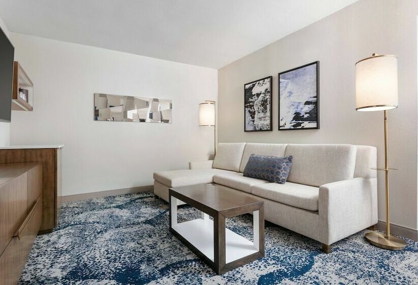 سوئیت با چشم‌انداز, Delta Hotels By Marriott Virginia Beach Waterfront