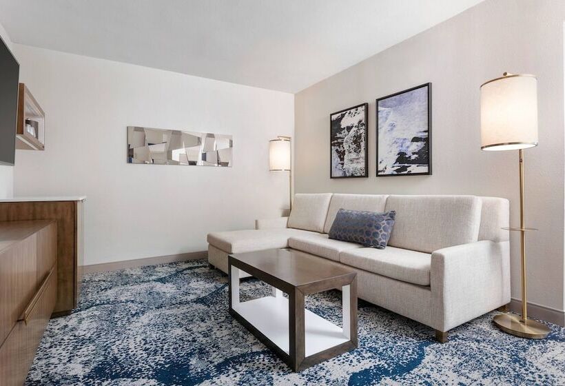 سوئیت برای معلولان, Delta Hotels By Marriott Virginia Beach Waterfront