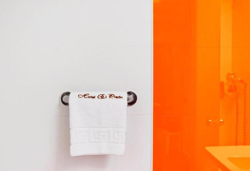 اتاق استاندارد یک نفره, Ibis Styles Madrid Prado