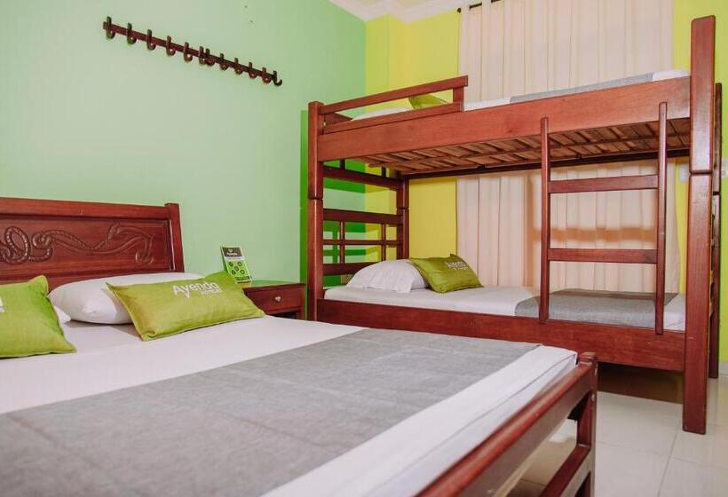 اتاق استاندارد چهار تخته, Ayenda 1615 Hotel Tayrona Mágico