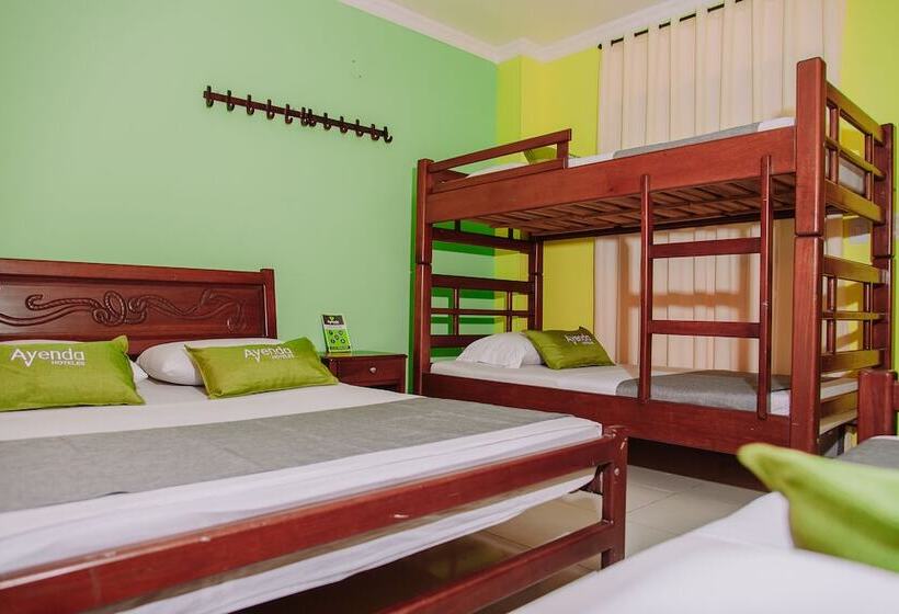 اتاق استاندارد چهار تخته, Ayenda 1615 Hotel Tayrona Mágico