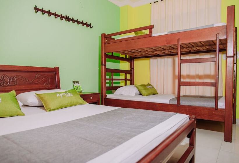 اتاق استاندارد چهار تخته, Ayenda 1615 Hotel Tayrona Mágico