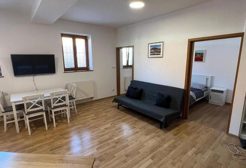 带1个卧室的公寓, Pension Mikulov