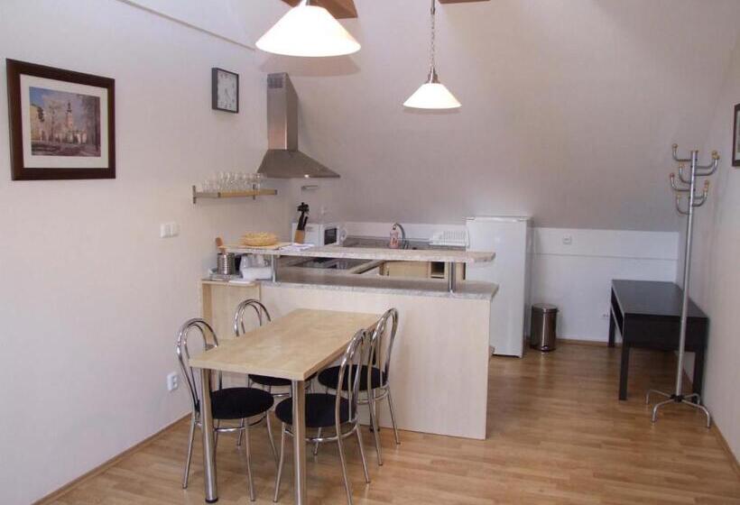 带1个卧室的公寓, Pension Mikulov