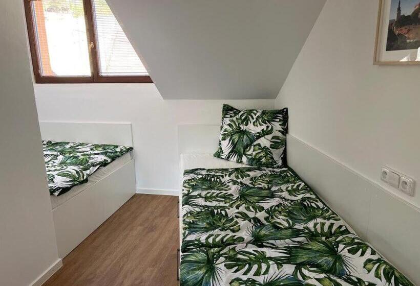带1个卧室的公寓, Pension Mikulov