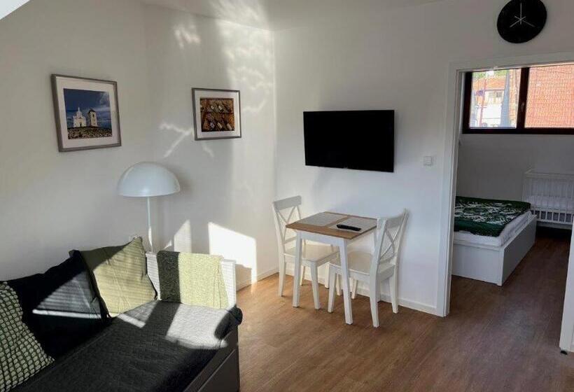 带1个卧室的公寓, Pension Mikulov