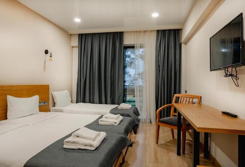 اتاق استاندارد سه نفره, Bakuriani Inn