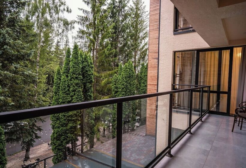 آپارتمان سوپریور 1 خوابه, Bakuriani Inn