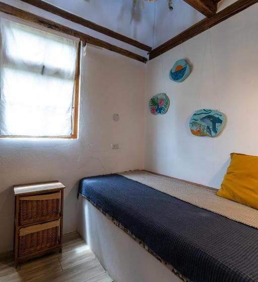 Family Suite, Ganso & Búho