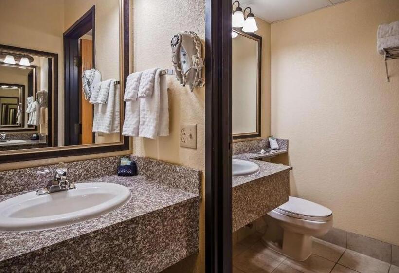 Люкс, Best Western Center Pointe Inn