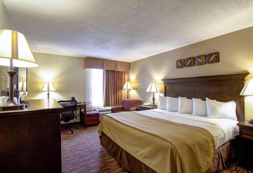 Номер Стандарт Кровать Кинг Адаптированный для Инвалидов, Best Western Center Pointe Inn