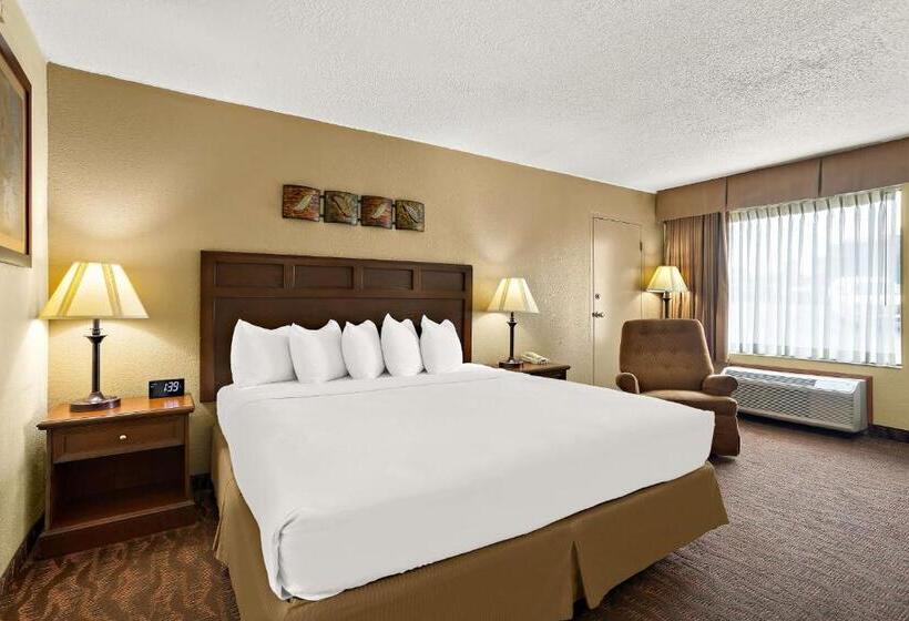 Номер Стандарт Кровать Кинг Адаптированный для Инвалидов, Best Western Center Pointe Inn