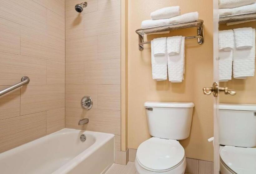 Номер Стандарт, Best Western Plus Bessemer