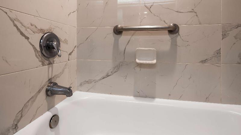 스탠다드 룸 킹사이즈 침대, Best Western Tampa