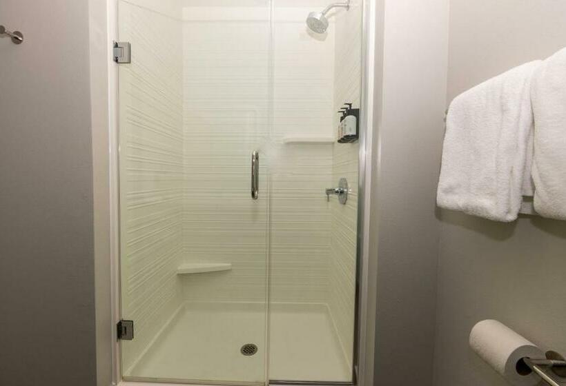 标准间, Avid Hotels   Denver Airport Area, An Ihg